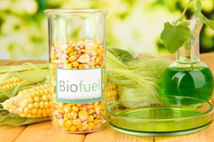 Salem biofuel availability